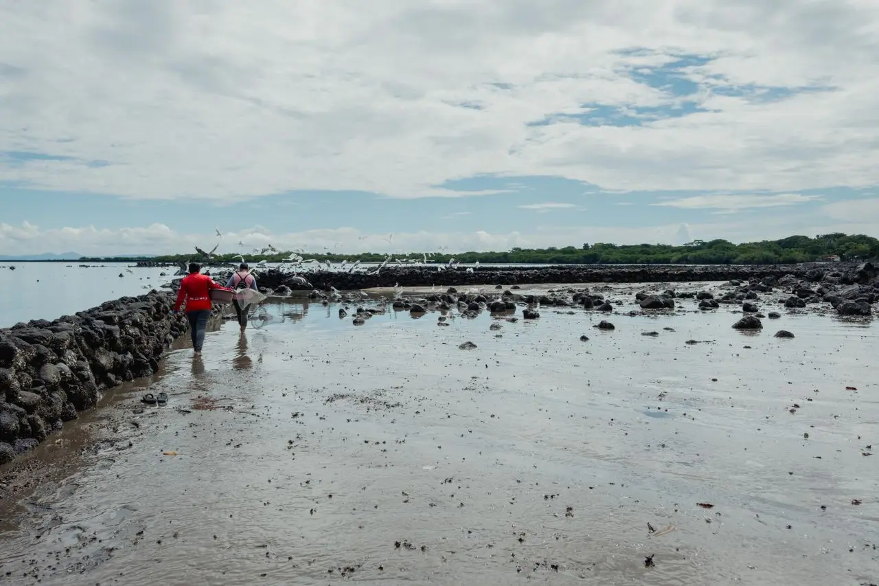 Mujeres marisqueras del Golfo de Fonseca, Honduras
