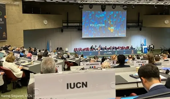 BRS COP Pollution image plenary