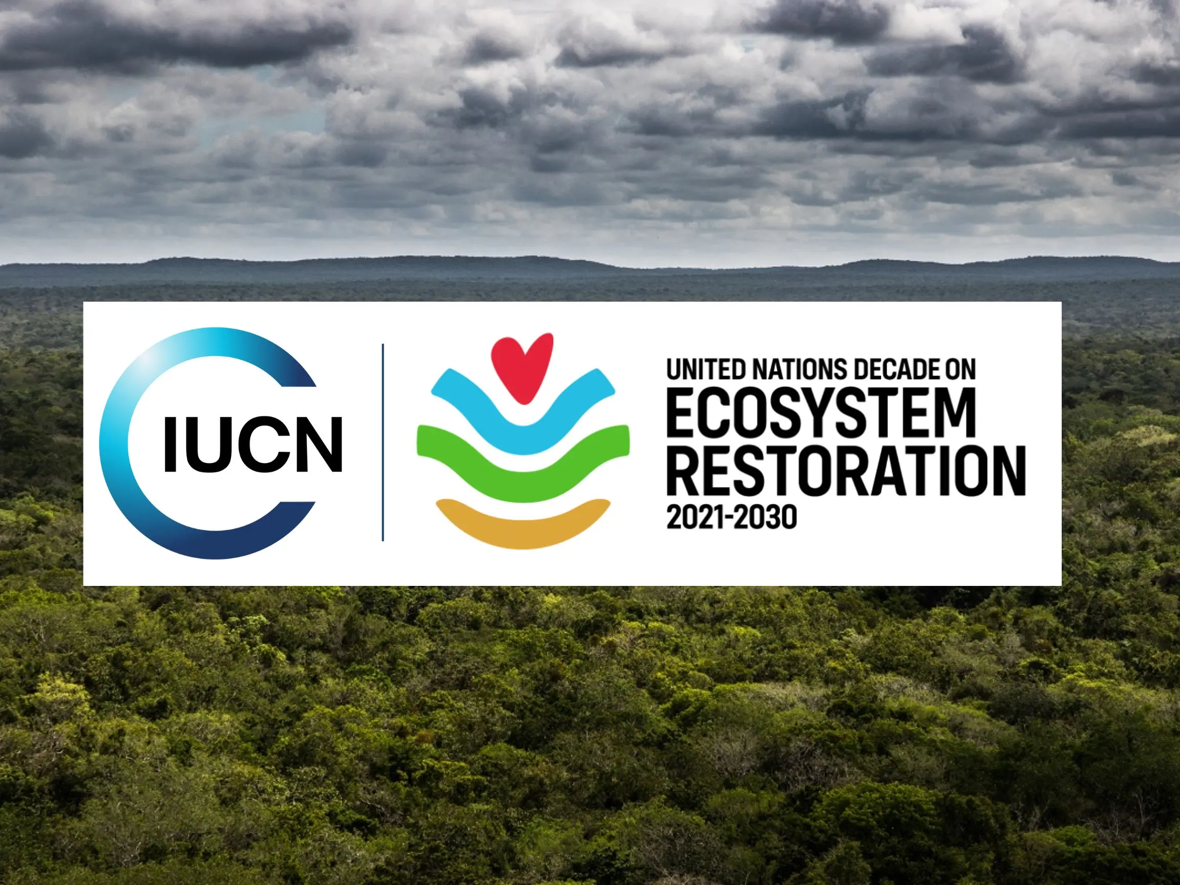 IUCN UN Decade Logos