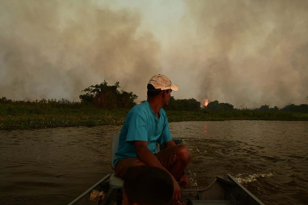 world heritage forest