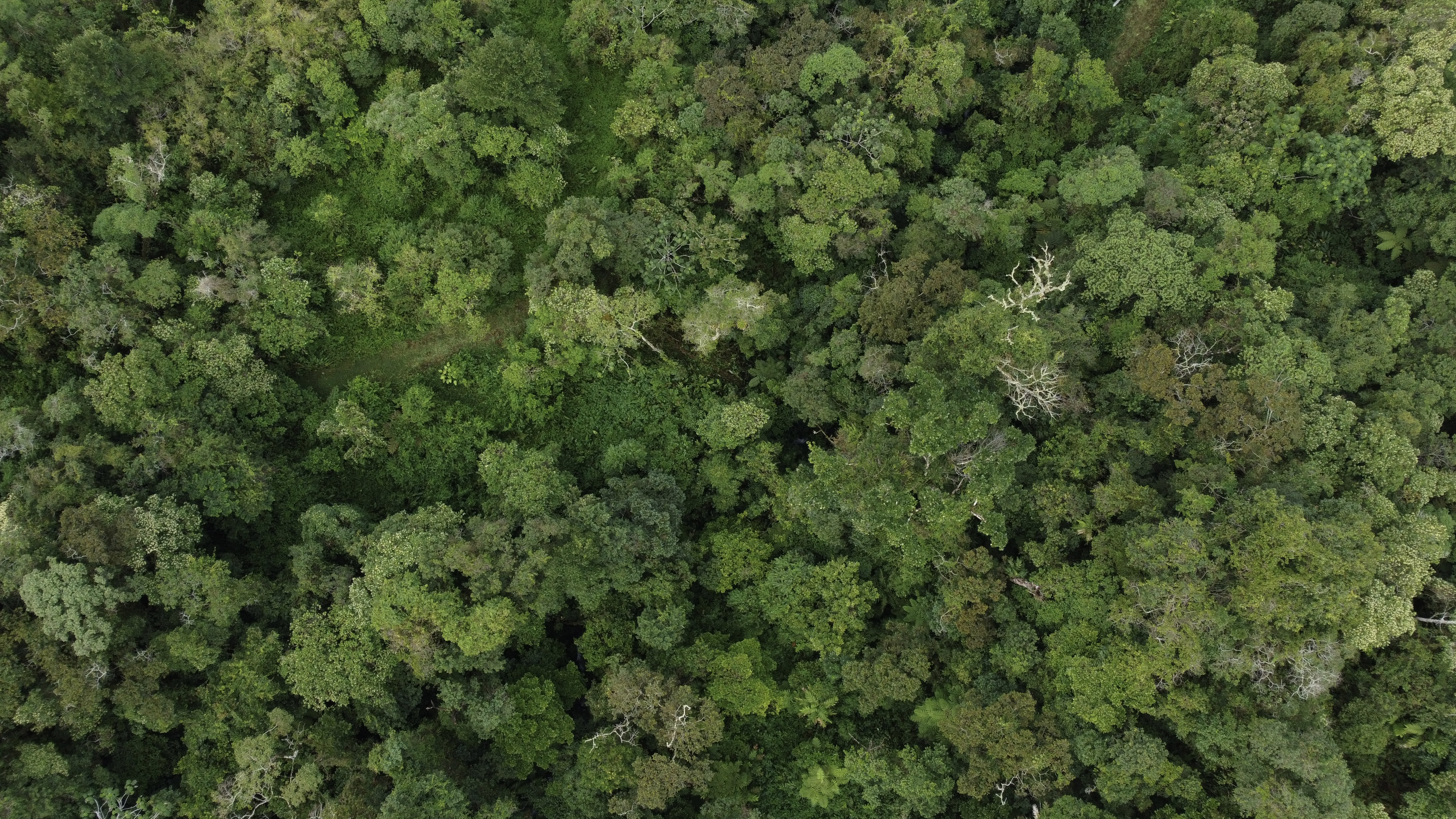 La Amistad International Park