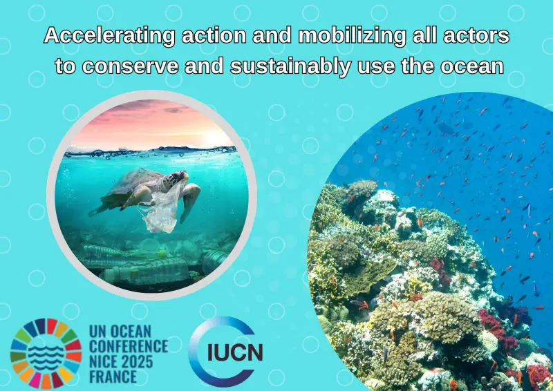 IUCN ORO UNOC3 image
