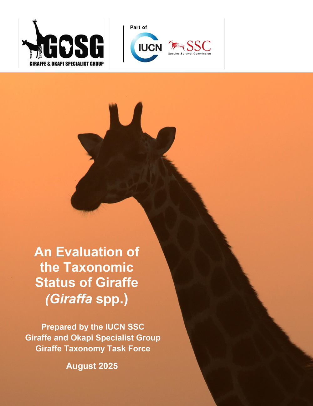 GOSG assessment 2025