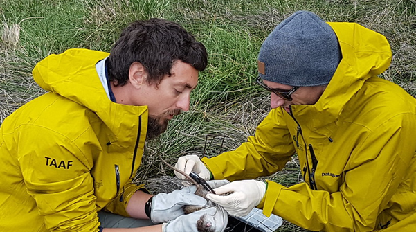 world heritage green list