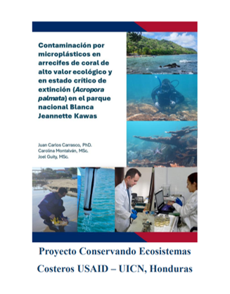 Cover Informe de Contaminaci&oacute;n por Micropl&aacute;sticos