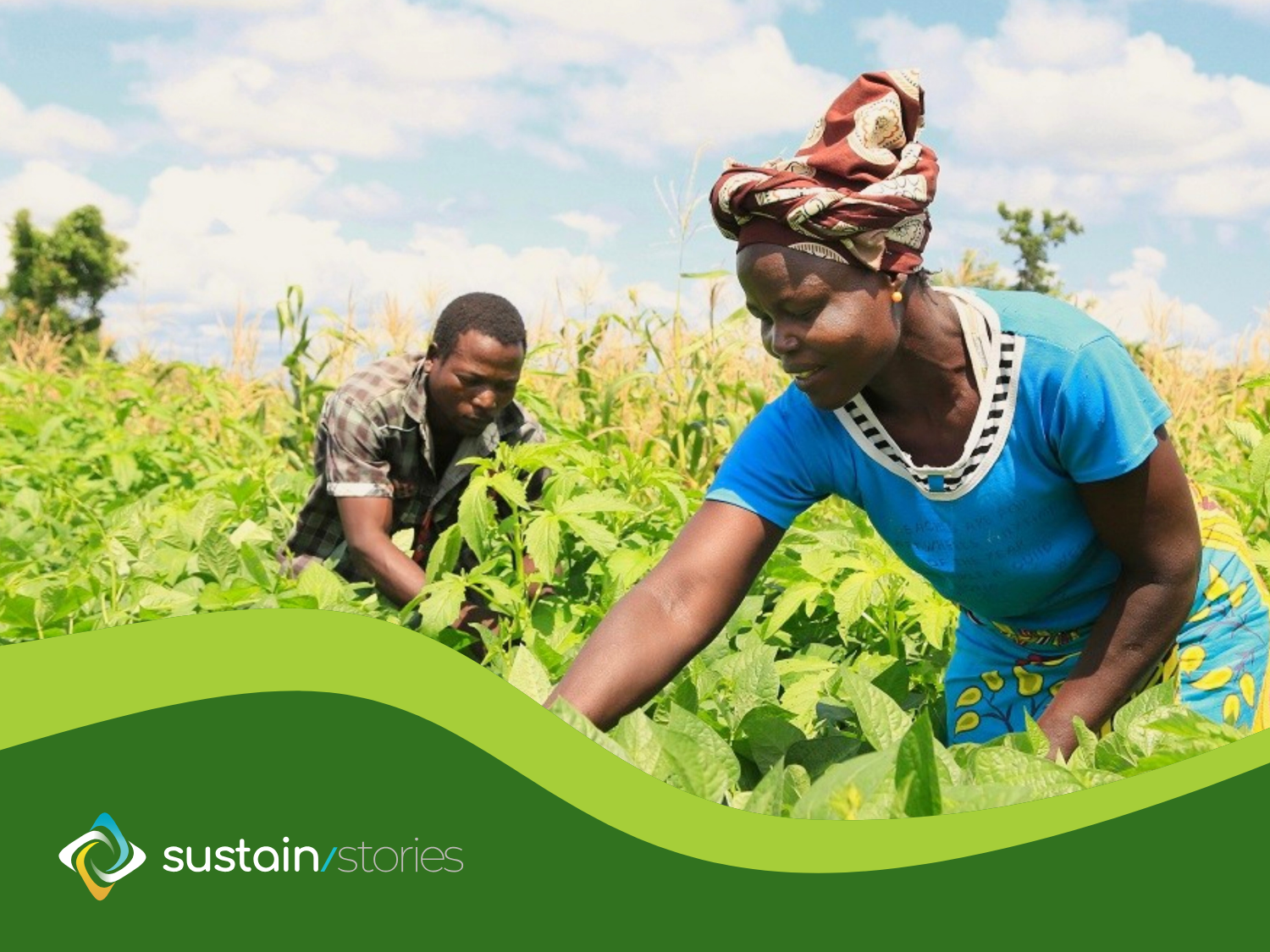 SUSTAIN/Stories - cover image - photo essay 1