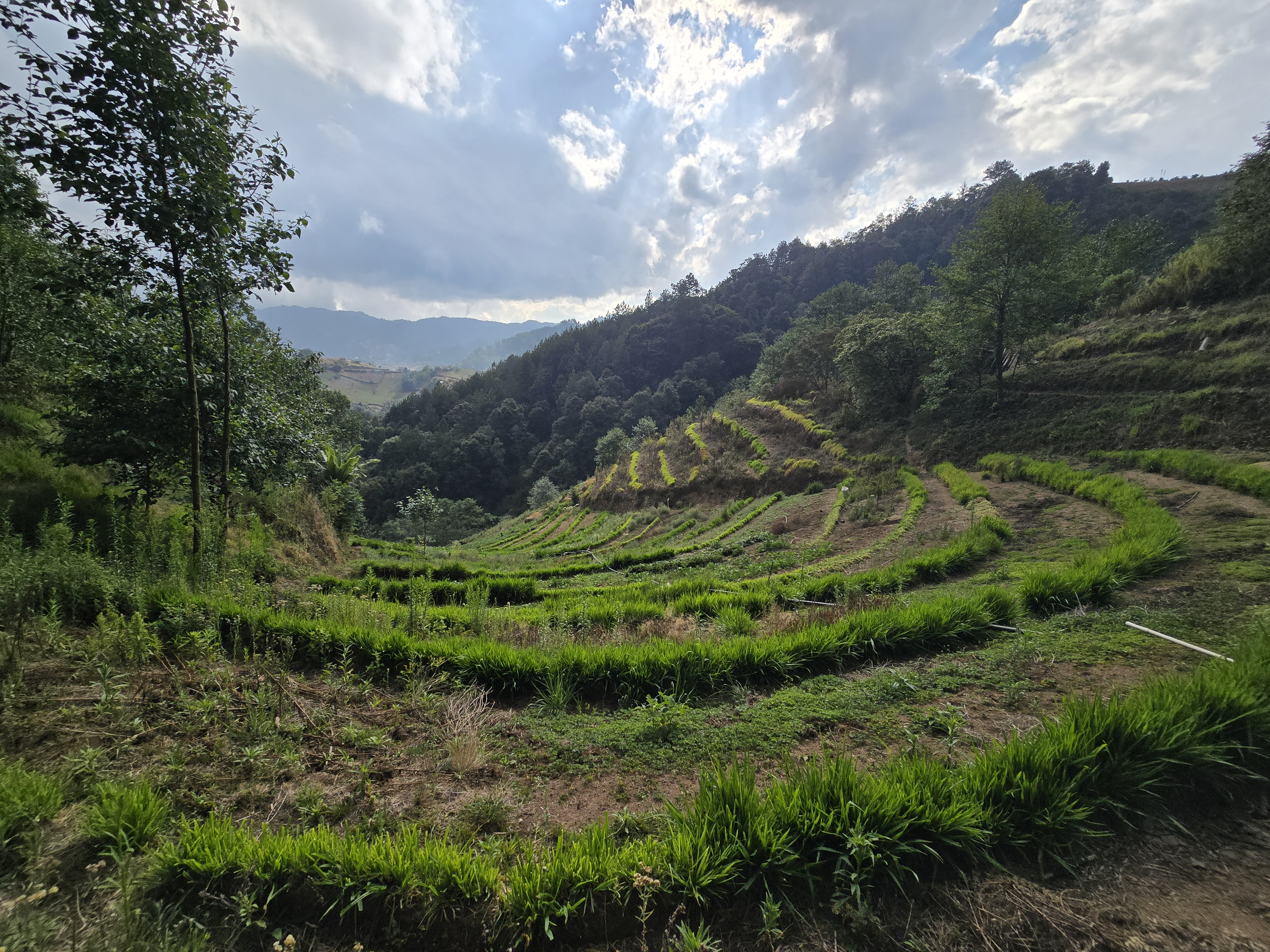 Altiplano occidental de Guatemala