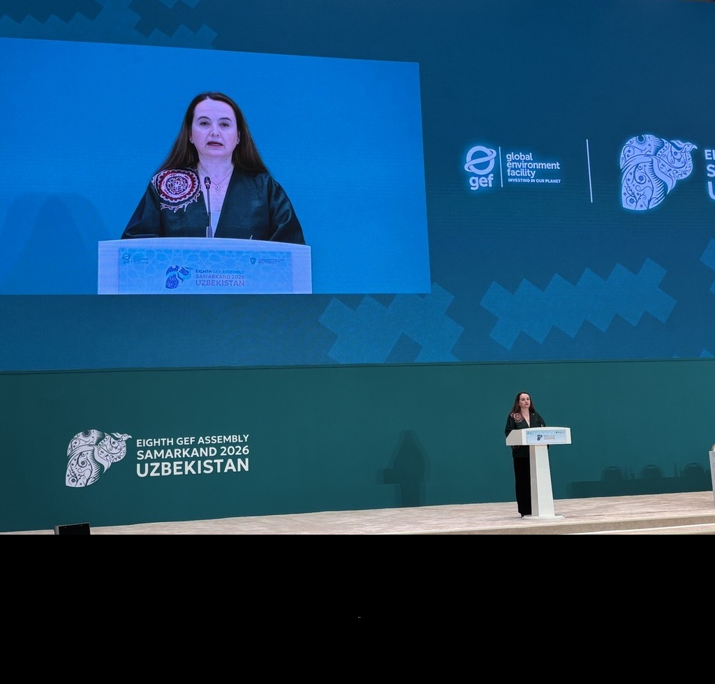 8th GEF Assembly