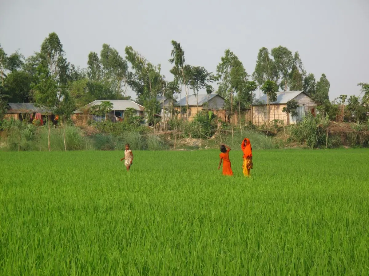 Bangladesh smallholders