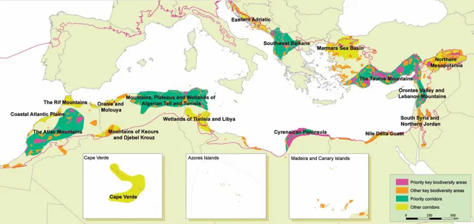 Site and Corridor Outcomes for the Mediterranean Basin Hotspot according to previous CEPF Ecosystem Profile.