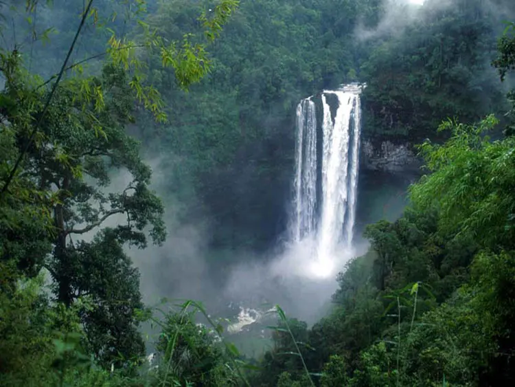 Waterfall in Paksong district, Lao PDR 