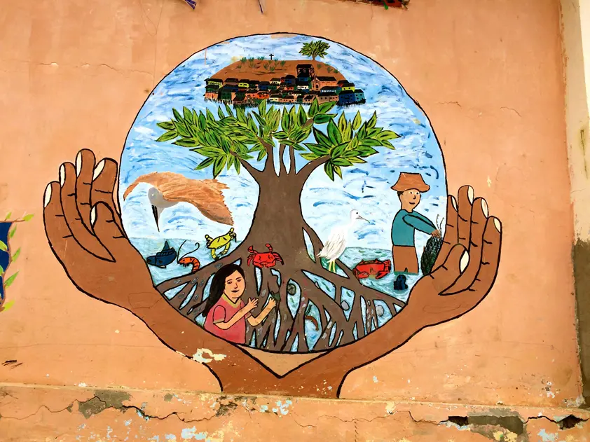 illustration with hands holding a sphere with image of mangrove and people