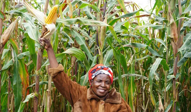 Malawi woman proud of her corn crop