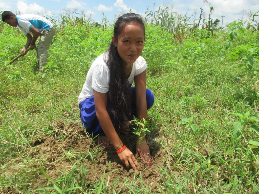 Local communities participate in habitat restoration efforts - WWF Nepal