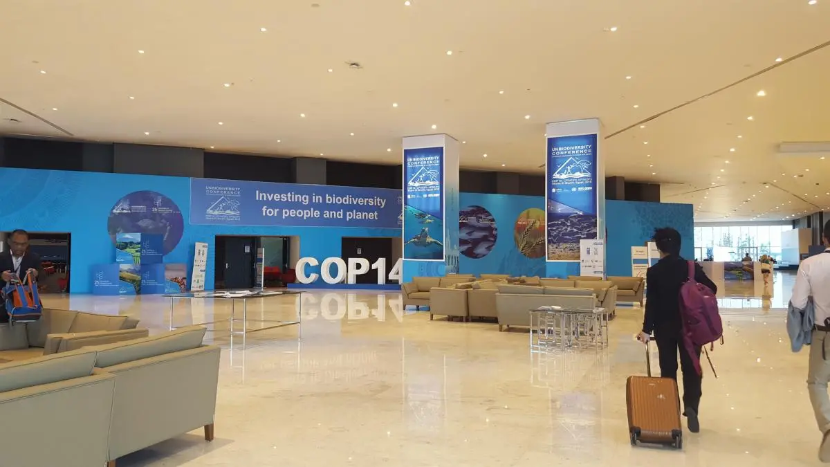 CBD COP14 venue