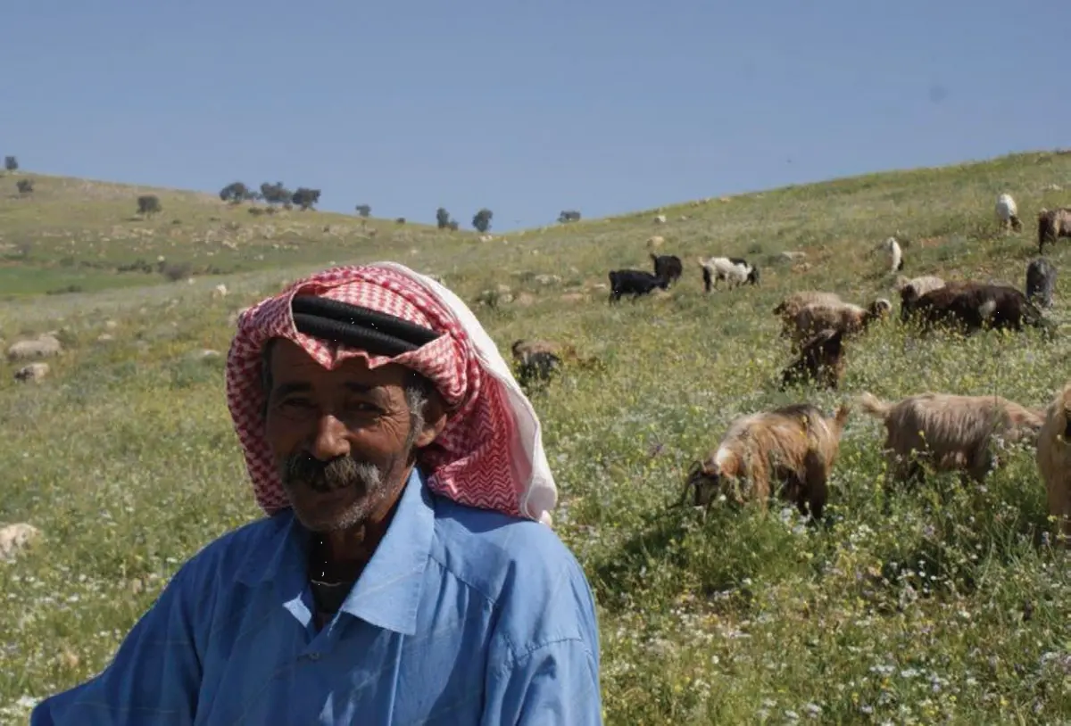 Bedouin Herder in the Hima Eyra Range Reserve, Balqa Governorate, Jordan