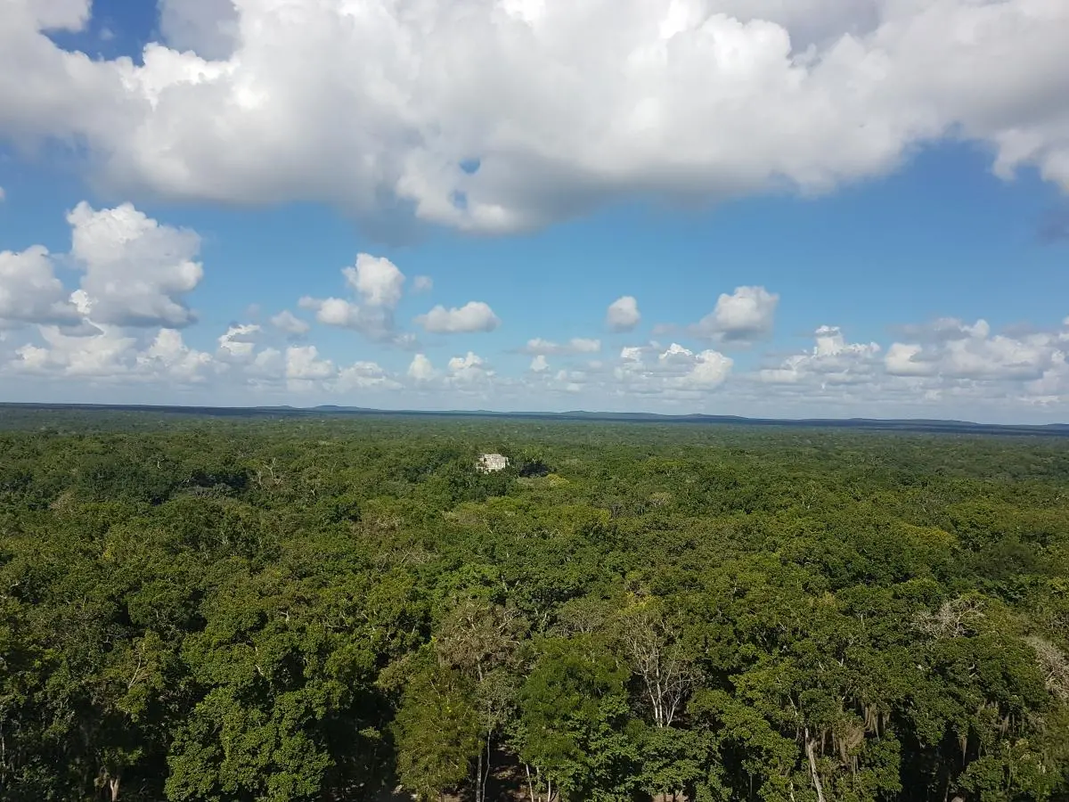 Reservas de la Biósfera de Calakmul, México