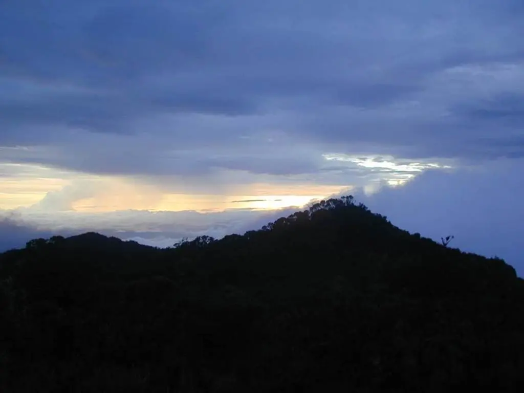 Paisaje de las Reservas de la Cordillera de Talamanca–La Amistad /Parque Nacional de la Amistad
