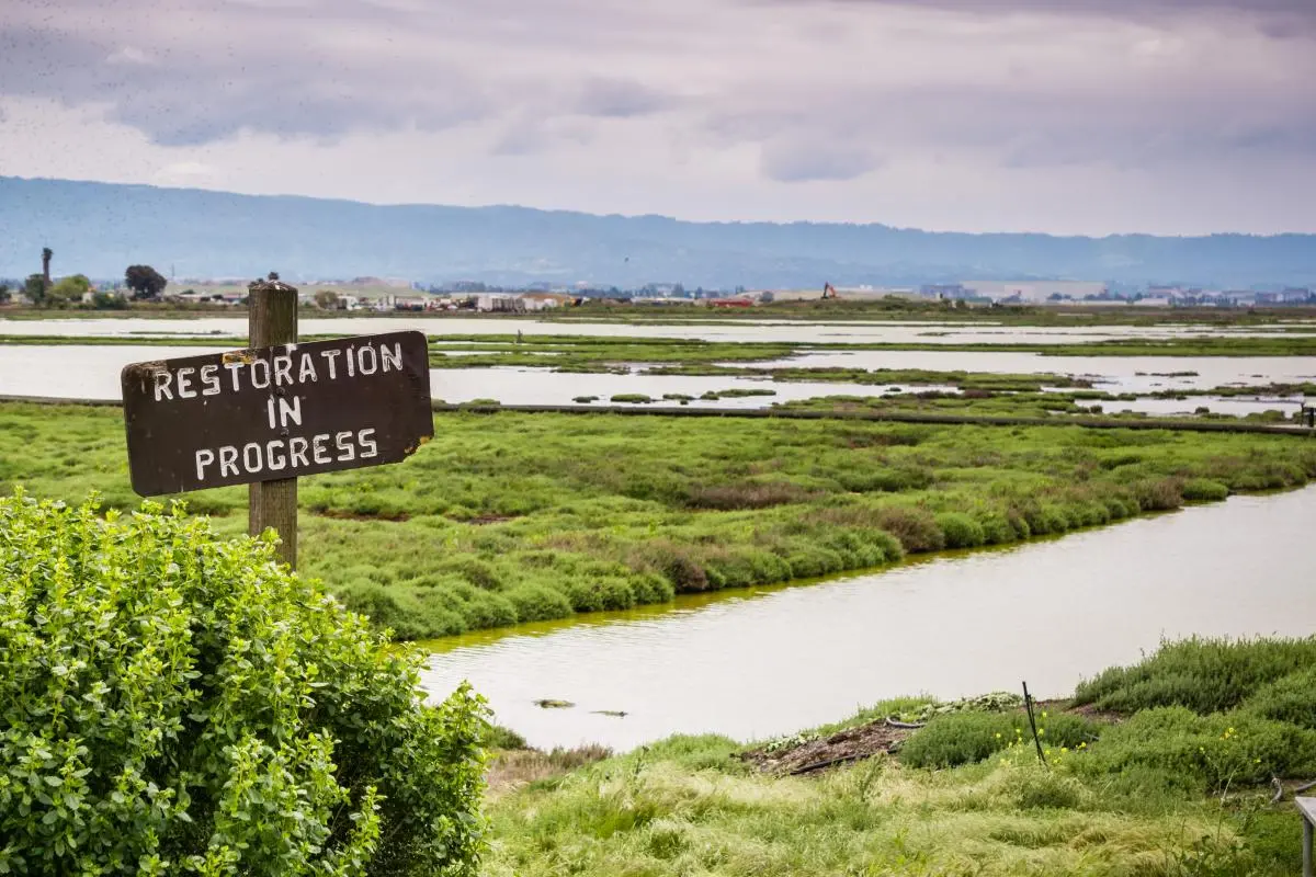 Restoration sign in the wetlands of Alviso Marsh, Don Edwards wildlife refuge, south San Francisco bay, California 