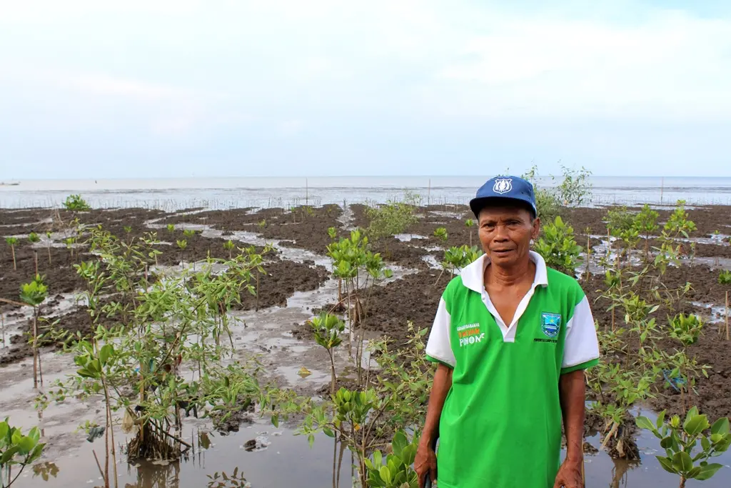 A man stands in front of mangrove saplings planted on a mud flat, with the ocean in the background