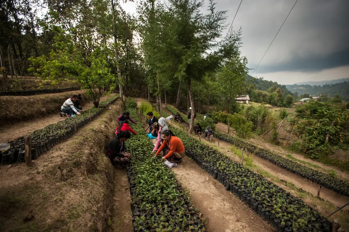 Medidas de adaptación en Guatemala