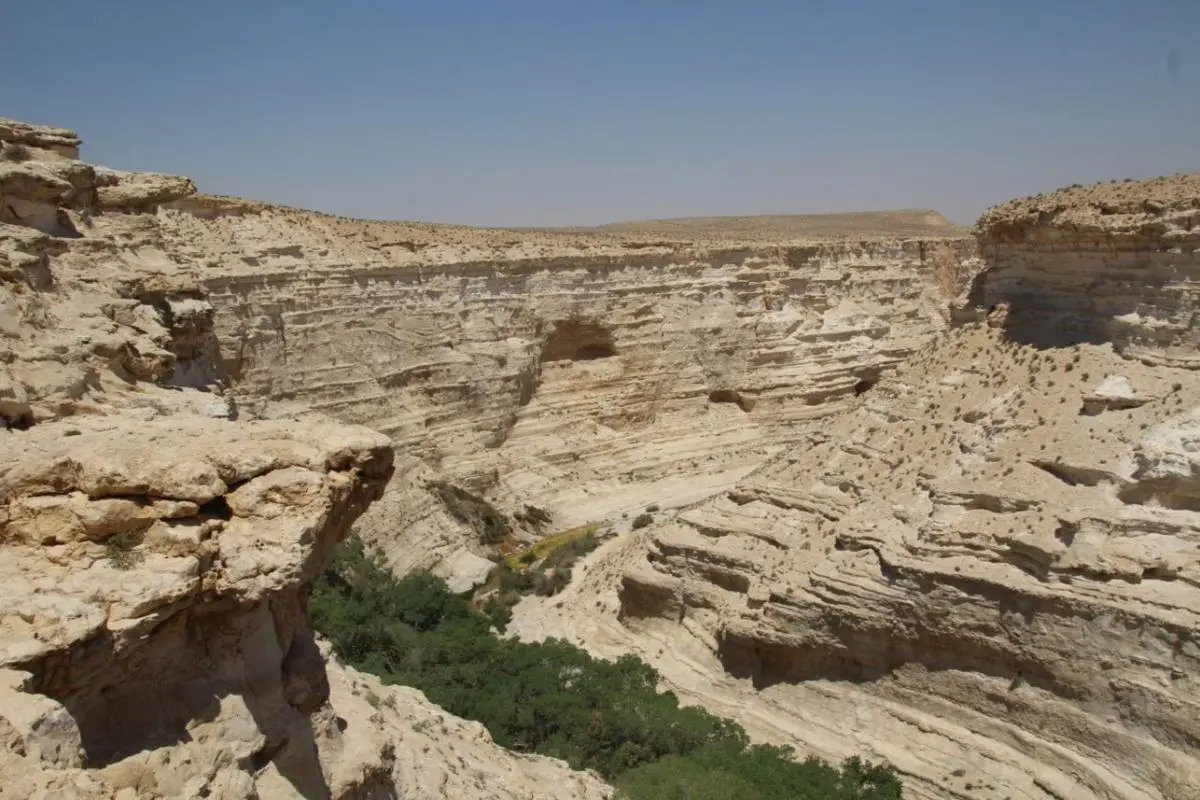 Wadi Palestine