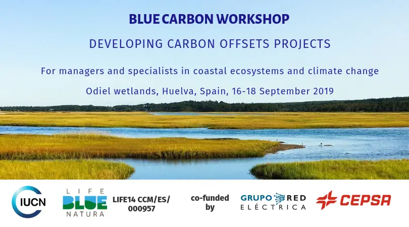 blue carbon workshop iucn med