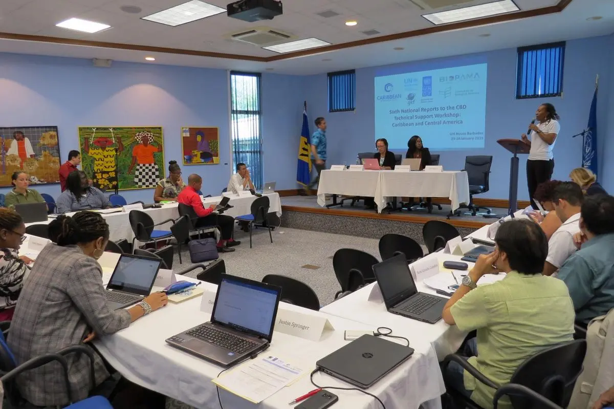Caribbean and Central American countries gathered in Barbados to exchange best practices, share experiences and work around the Sixth National Report on Biodiversity