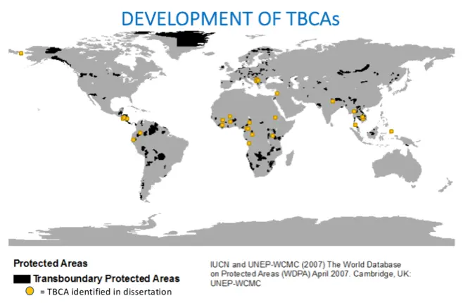 Development of TCBAs