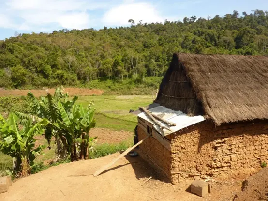 Farmers living on the edge of a biodiversity offset project in Madagascar face restrictions on natural resource use. 