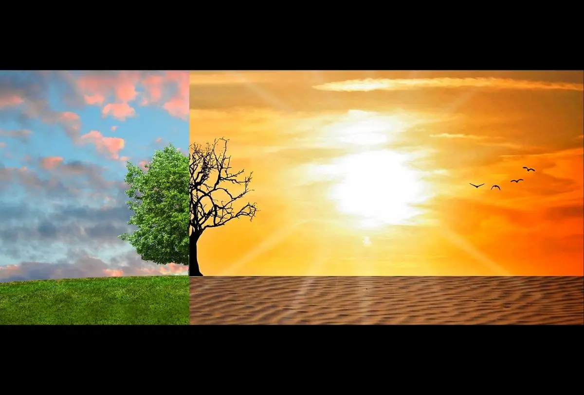 blue sky and green tree left versus hot sun and desert on right