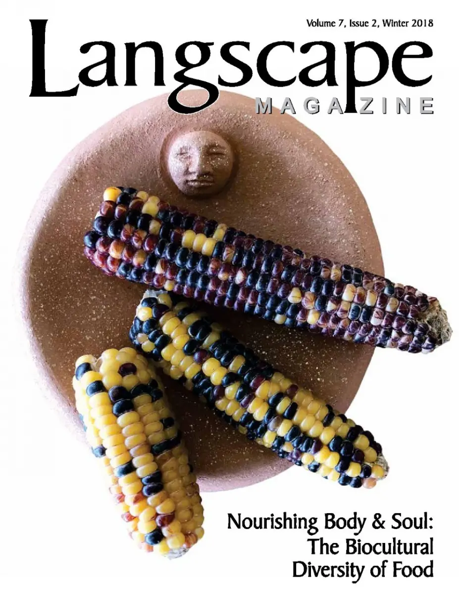 Langscape Magazine cover