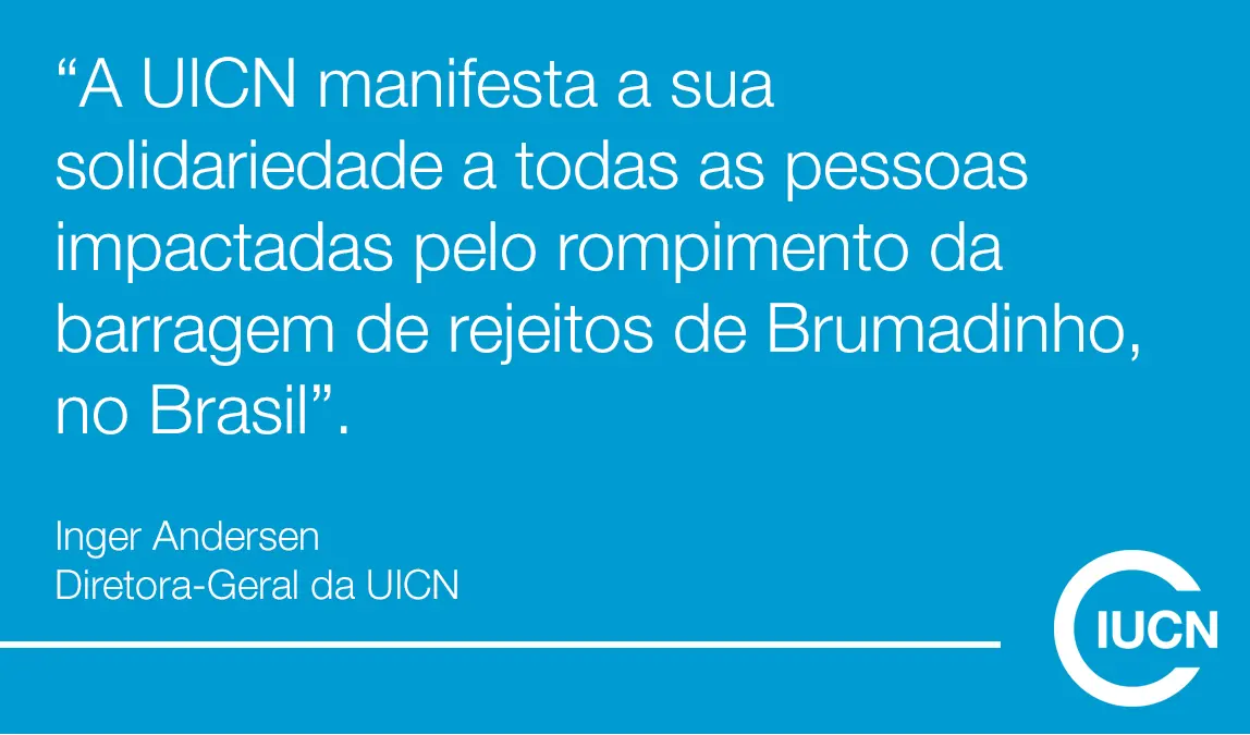 UICN manifesta a sua solidariedade a todas as pessoas impactadas pelo rompimento da barragem de rejeitos de Brumadinho, no Brasil
