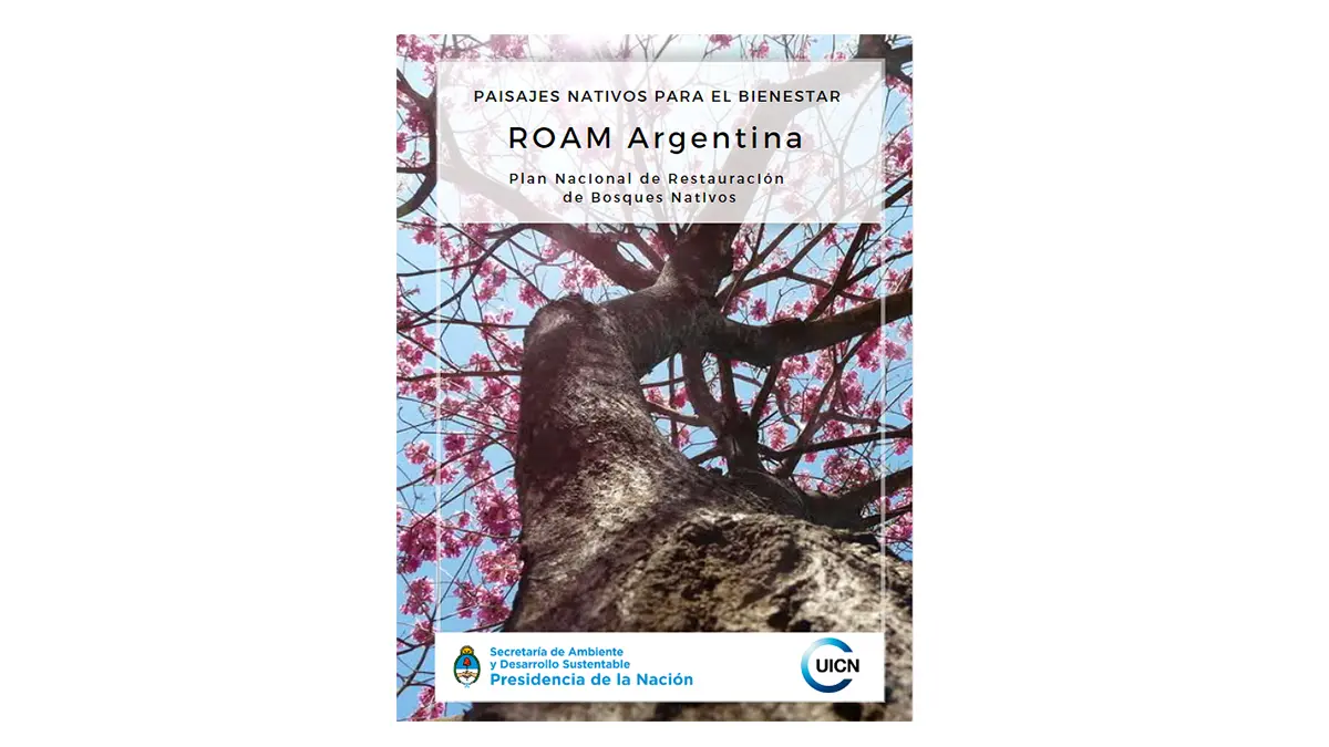 Argentina cuenta con el Plan Nacional de Restauración de Bosques Nativos (PNRBN)