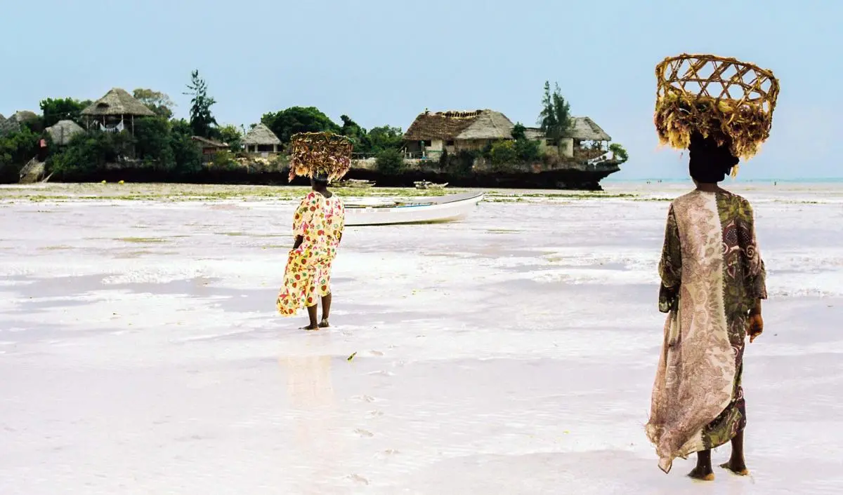 women in Zanzibar collecting fish from the ocean