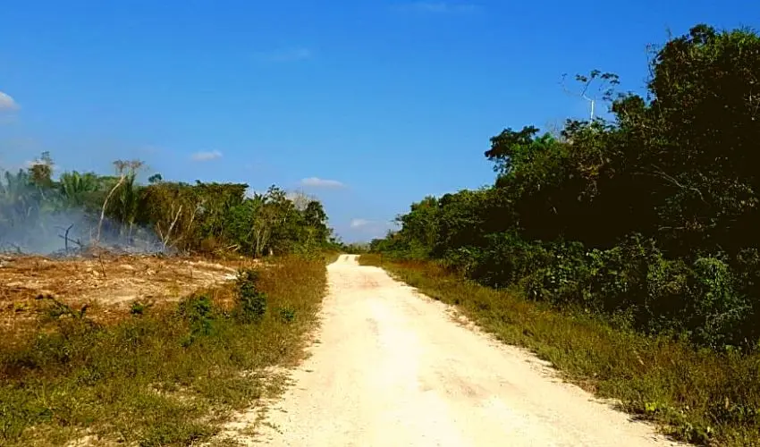 Rio Bravo Conservation Area – Orange Walk, Belice.