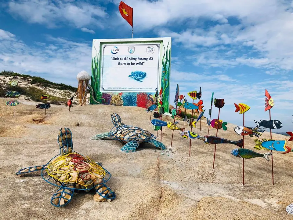 Artwork on sea turtles was produced by IUCN volunteer in Hon Cau MPA