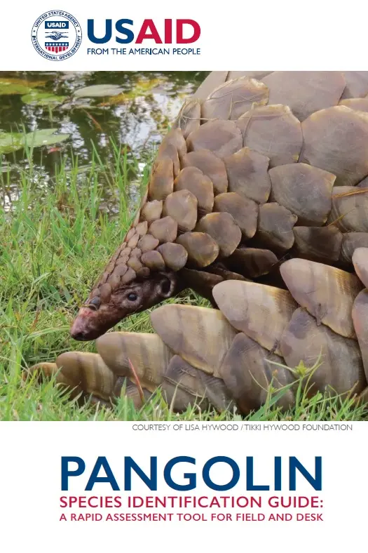 Pangolin Species Identification Guide: A Rapid Assessment Tool for Field and Desk