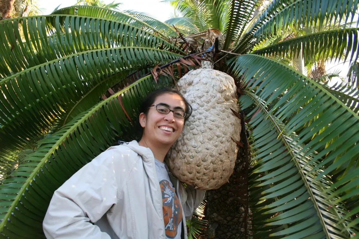 Biologist Cristina López-Gallego has spearheaded the implementation of a national plan for the conservation of cycads in Colombia