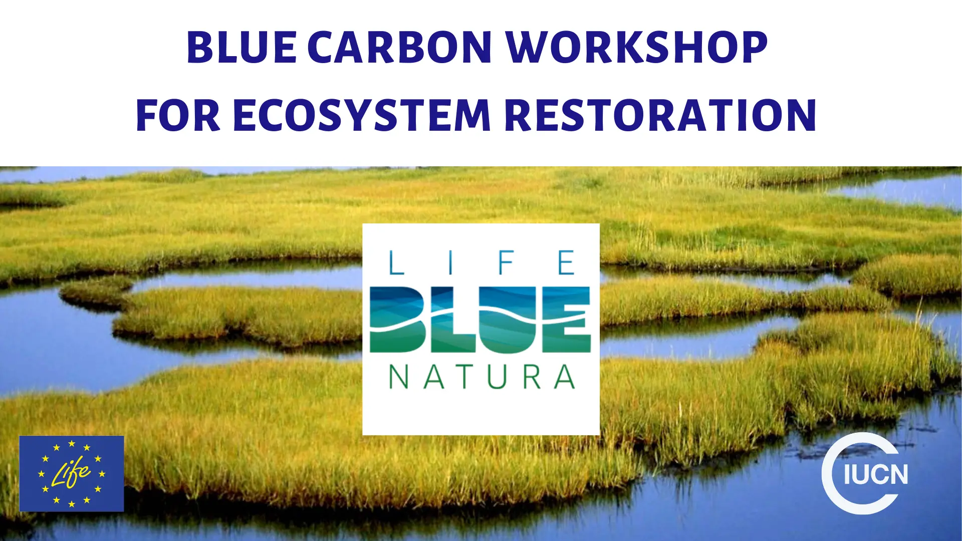 ecosystem_restoration_life_blue_natura