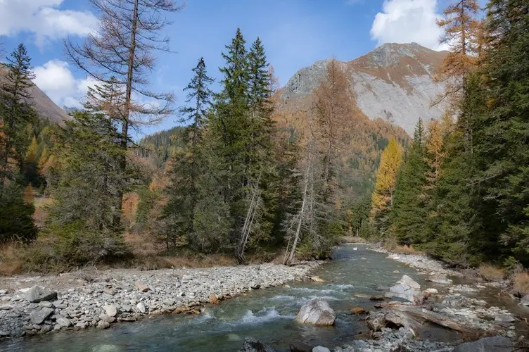 River in the Alps. Pixabay/Nick115