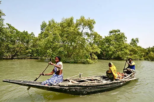Fisherfolk depend on healthy mangrove forests
