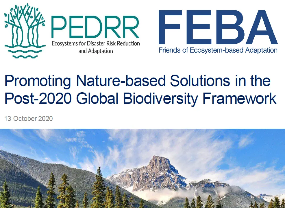 Promoting NbS in the Post-2020 Global Biodiversity Framework