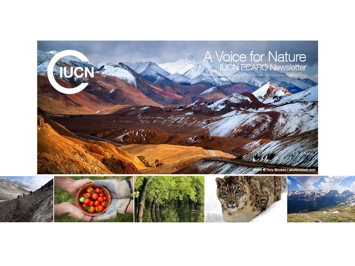 A Voice for Nature #21 cover photo