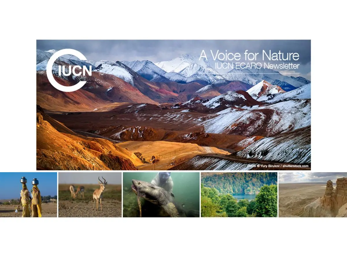 A Voice for Nature #20