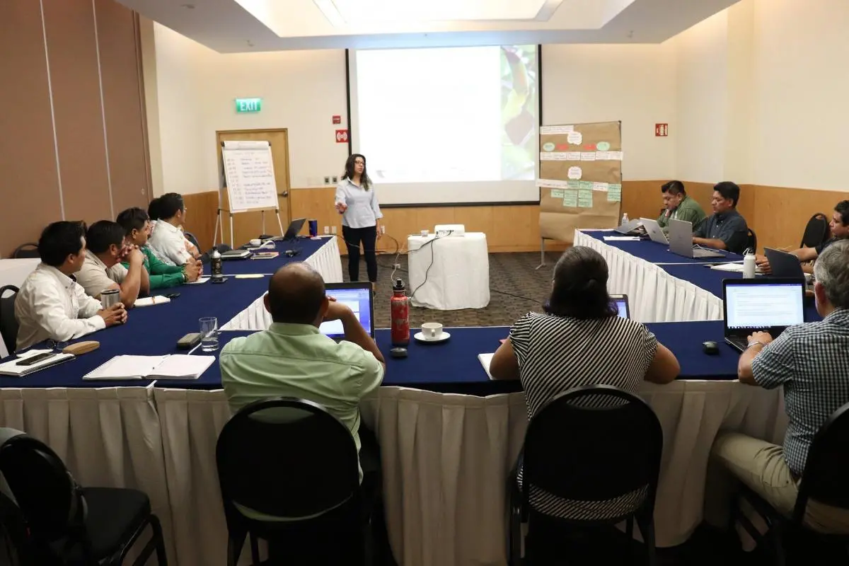 Reunión del Grupo Estratégico de Coordinación de la Selva Maya (GEC), 