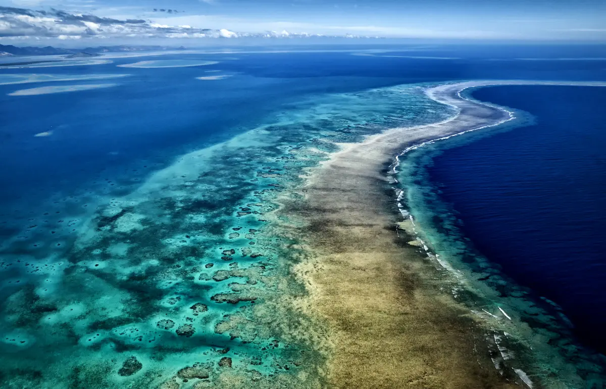 Cakaulevu Reef, Fiji