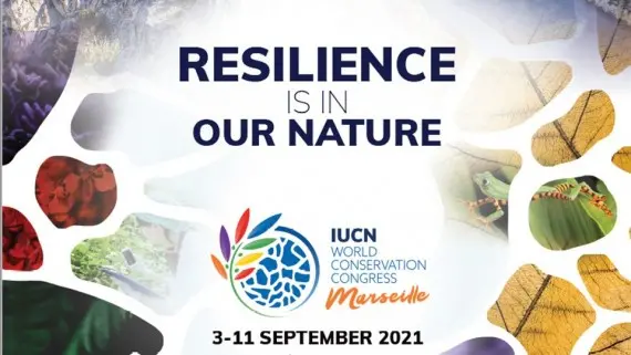 IUCN Congress email banner