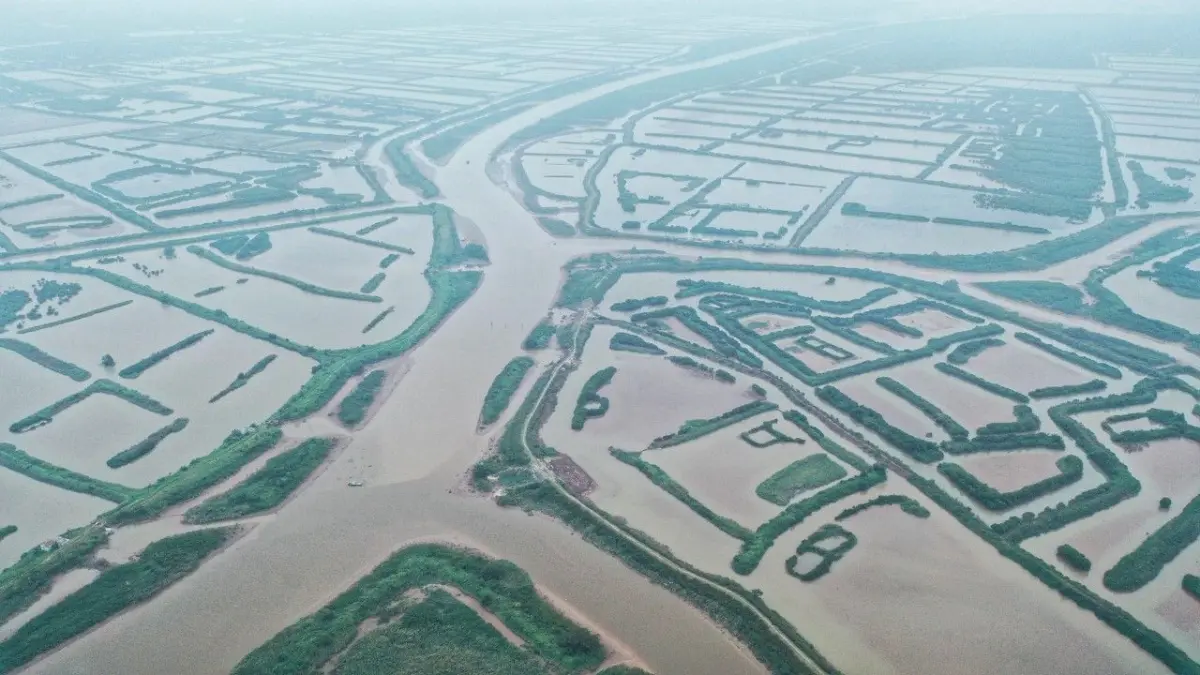 Intertidal wetlands and channels at the Xuan Thuy National Park