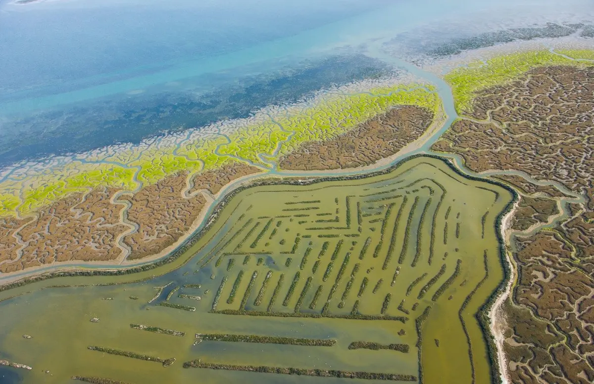Aerial view on marshlands, Bahia de Cadiz Natural Park,